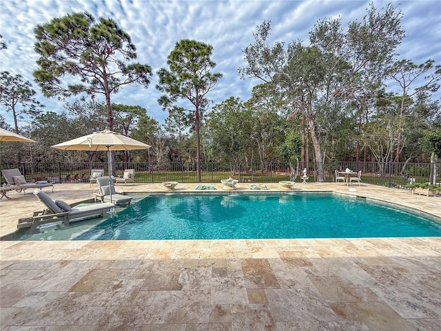 view of pool with a patio