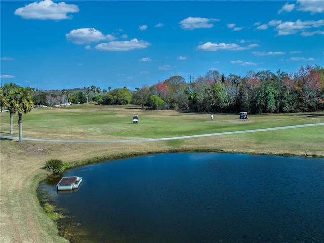 view of home's community featuring a water view and a lawn