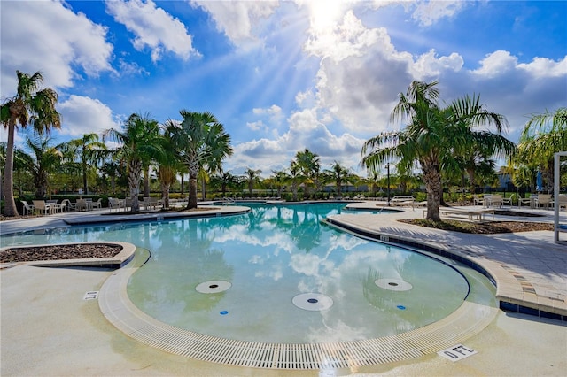 view of pool with a patio area