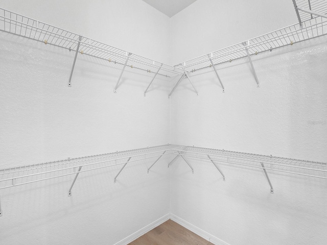 spacious closet featuring hardwood / wood-style floors