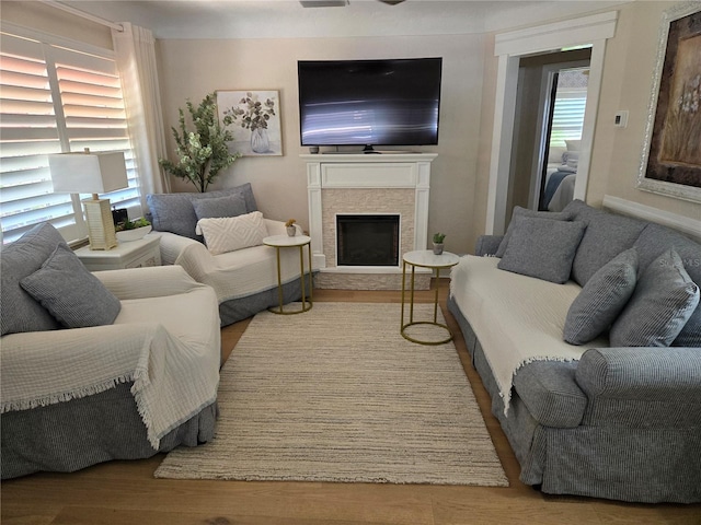 living room with a fireplace and light hardwood / wood-style flooring