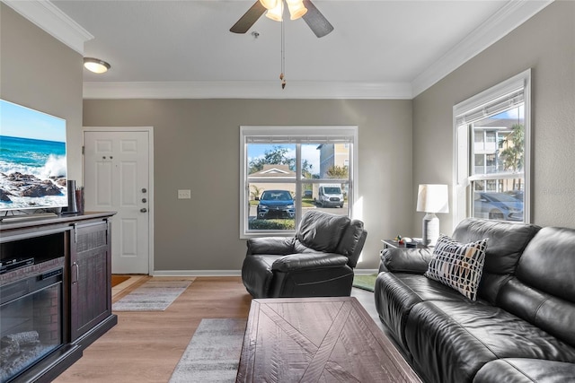 living room with ceiling fan, crown molding, and light hardwood / wood-style flooring