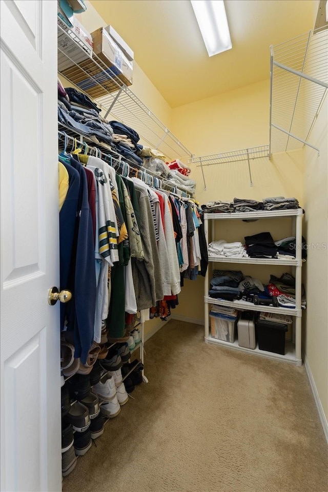 spacious closet with carpet