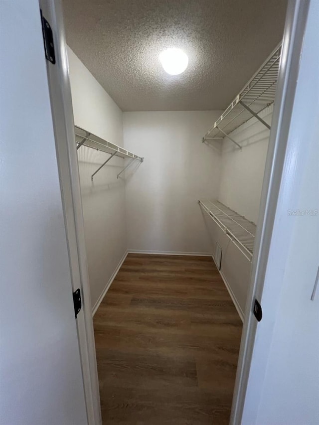 walk in closet featuring dark wood-type flooring