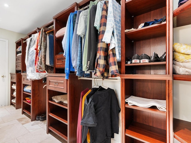 view of spacious closet