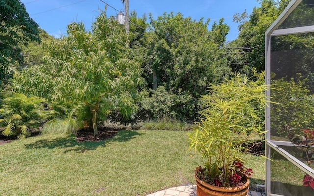 view of yard with a lanai