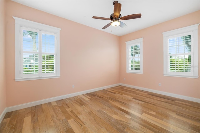 1810 Lincoln Dr, Sarasota, FL 34236 - photo 53