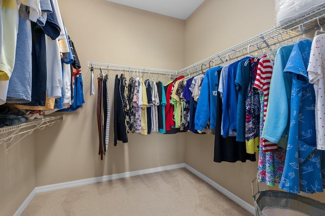 spacious closet featuring carpet