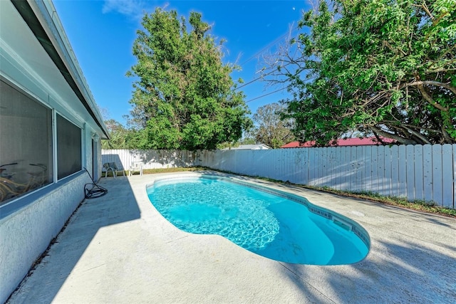 view of swimming pool with a patio area