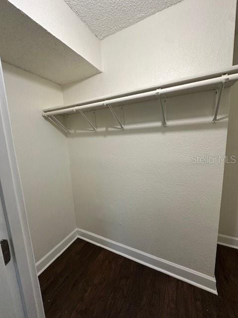 walk in closet with dark hardwood / wood-style floors