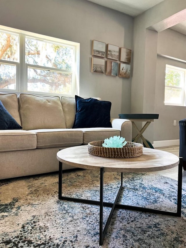 living room featuring hardwood / wood-style flooring