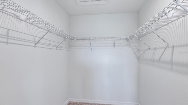 view of spacious closet