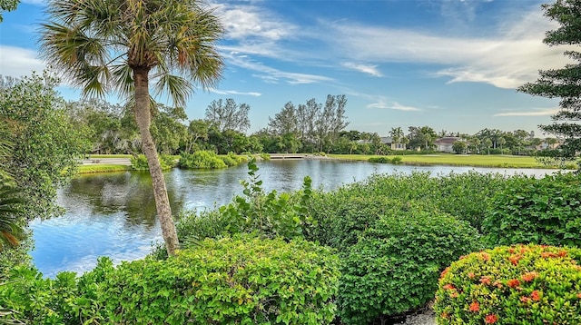 view of water feature