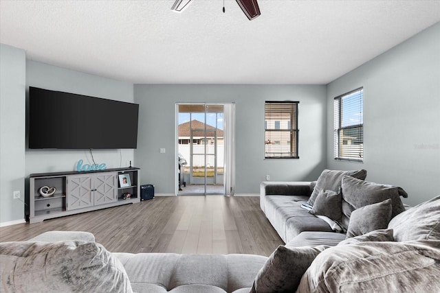 living room with ceiling fan, wood-type flooring, and a textured ceiling