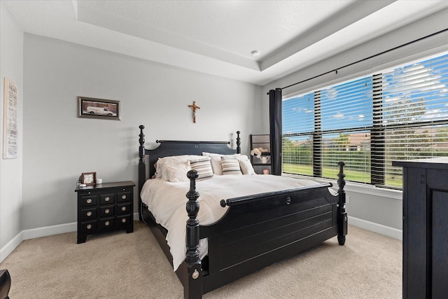 bedroom with light carpet and a raised ceiling