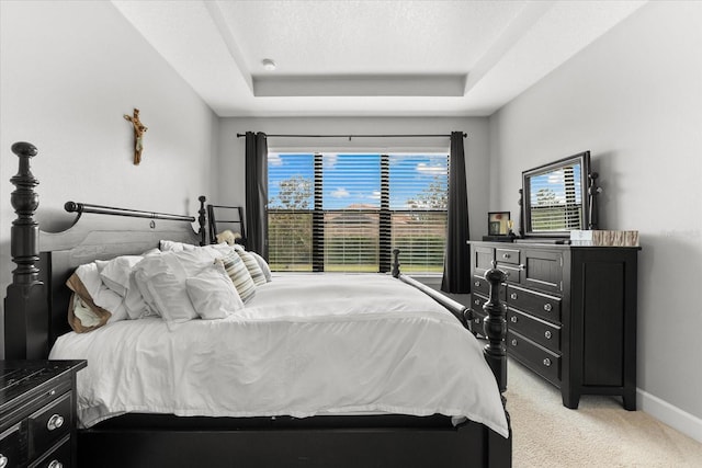 carpeted bedroom with a raised ceiling