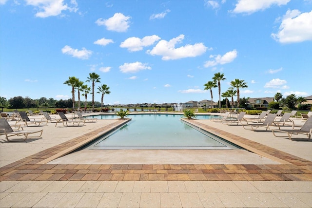 view of pool featuring a patio