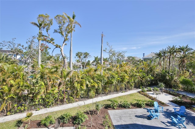 view of yard with a patio area and fence