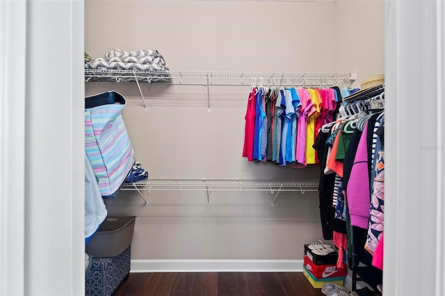 spacious closet featuring dark hardwood / wood-style flooring