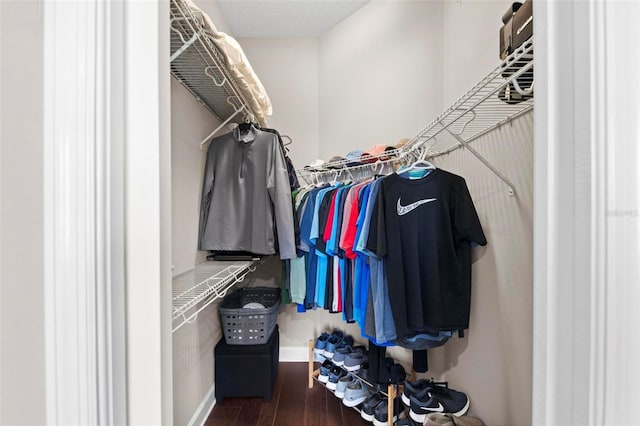 spacious closet with hardwood / wood-style flooring