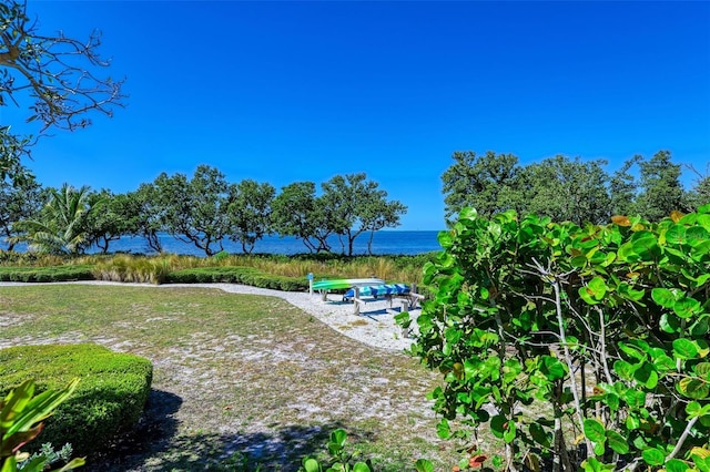 view of yard with a water view