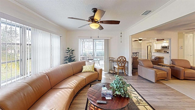 living room with a textured ceiling, ceiling fan, light wood-type flooring, and ornamental molding