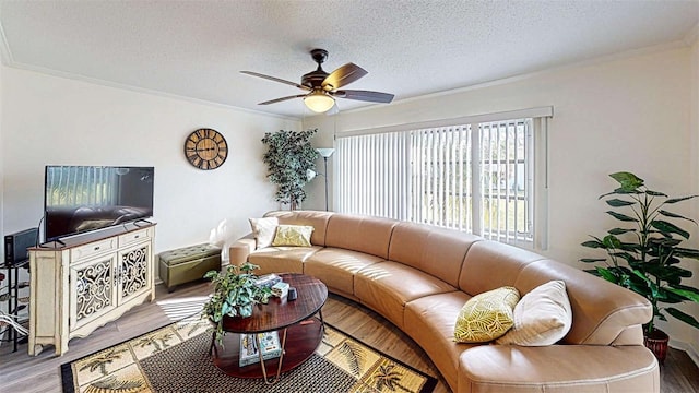 living room with hardwood / wood-style flooring, ceiling fan, ornamental molding, and a textured ceiling