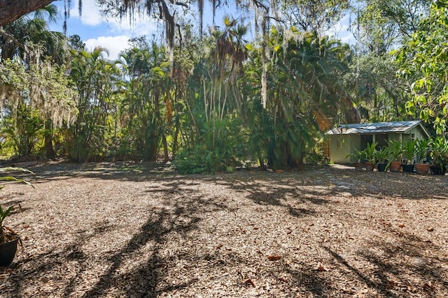 view of yard featuring a storage shed