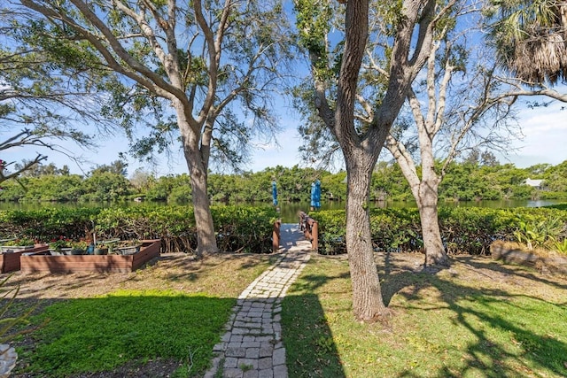 view of yard featuring a water view