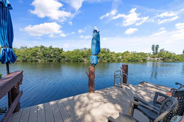 view of dock with a water view