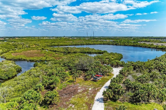 bird's eye view with a water view