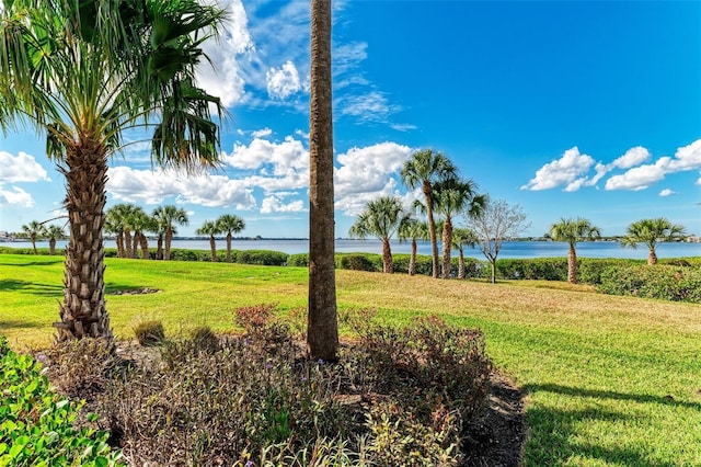 view of yard with a water view