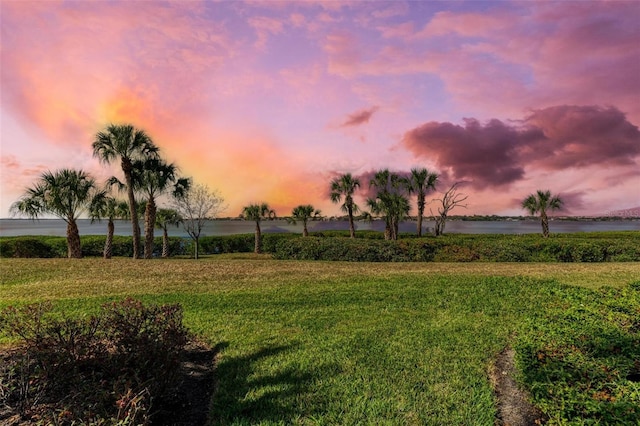 yard at dusk with a water view