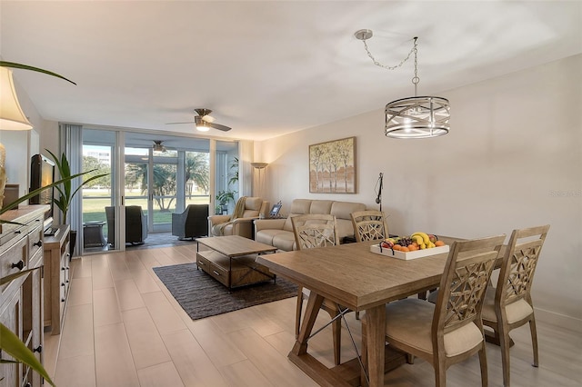 dining room with ceiling fan with notable chandelier, floor to ceiling windows, and light hardwood / wood-style flooring