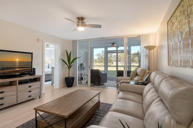 living room featuring ceiling fan, expansive windows, and light hardwood / wood-style floors