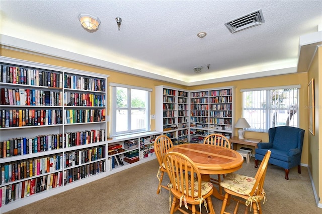 living area with carpet and a textured ceiling