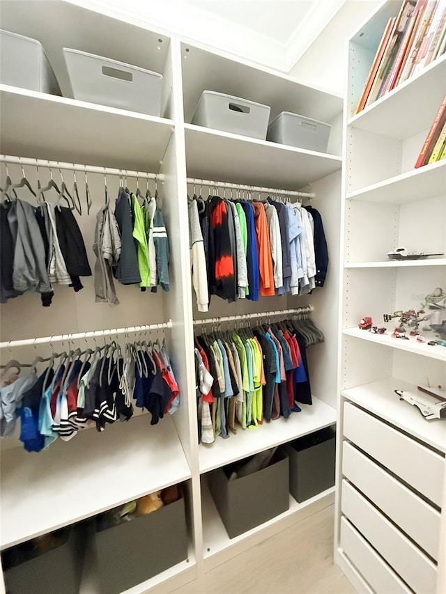 5305 Brookgrove Dr, Sarasota, FL 34238 - view of spacious closet