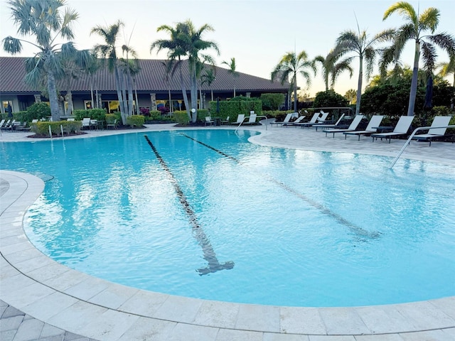 5305 Brookgrove Dr, Sarasota, FL 34238 - community pool featuring a patio area