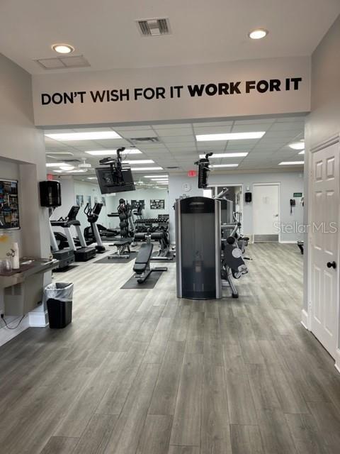 workout area with hardwood / wood-style floors and a drop ceiling