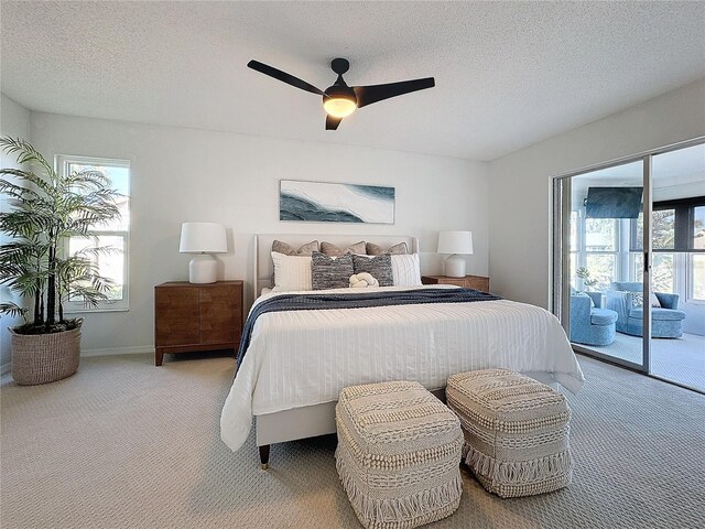 5011 Mangrove Point Rd, Bradenton, FL 34210 - photo 5