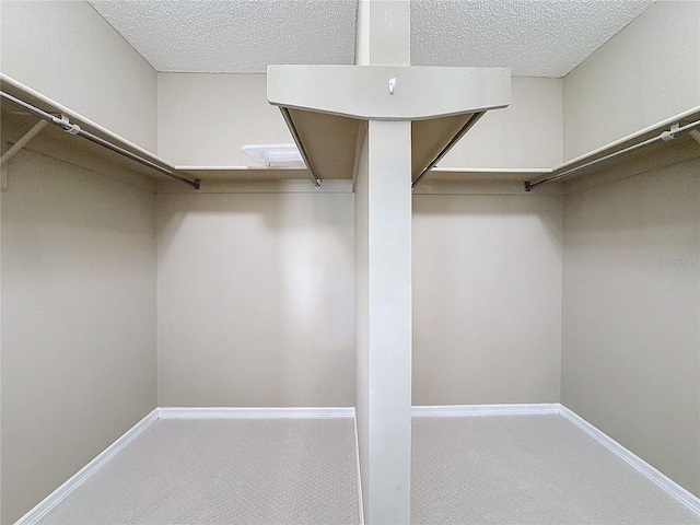 spacious closet featuring carpet floors