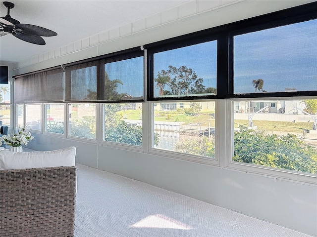 5011 Mangrove Point Rd, Bradenton, FL 34210 - photo 15