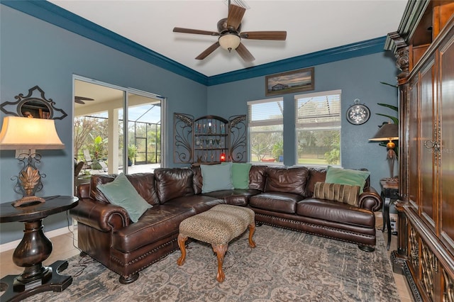 living room with ceiling fan and ornamental molding