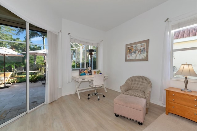 office space featuring light hardwood / wood-style flooring