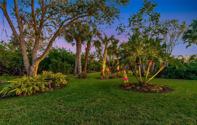 view of yard at dusk