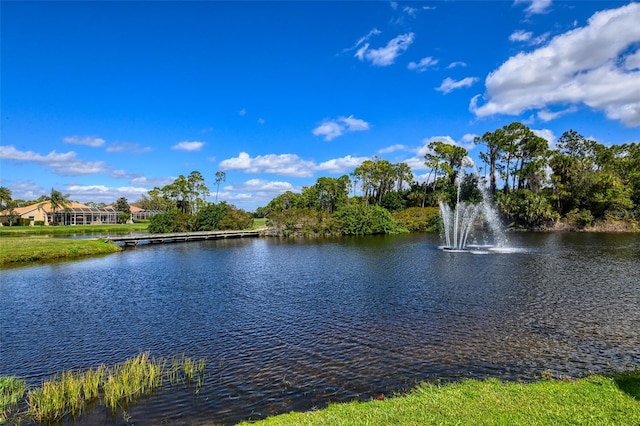 view of water feature