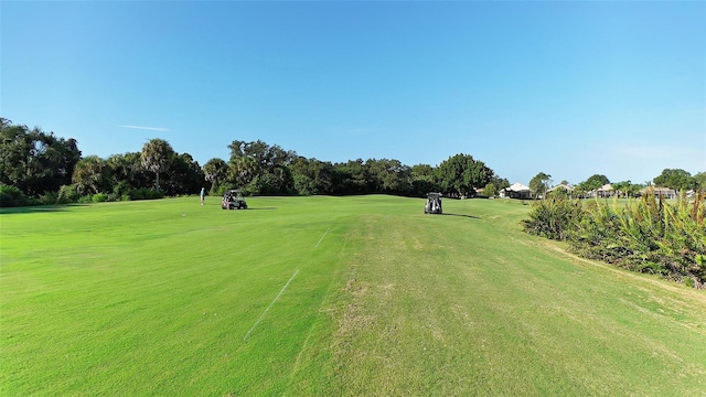 view of home's community with a lawn