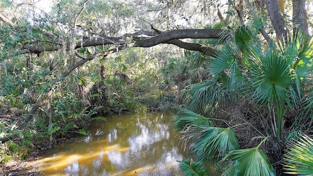 view of nature featuring a water view