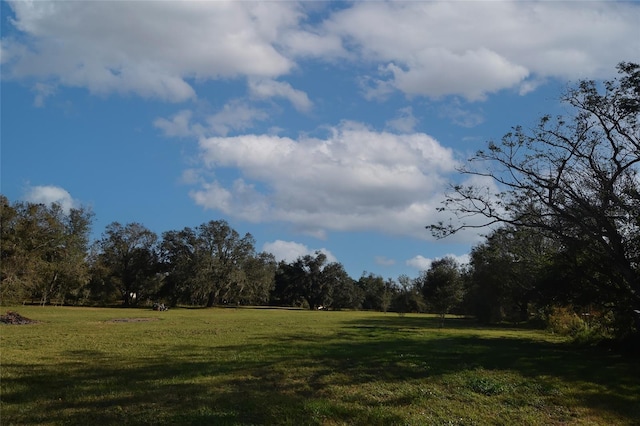 1880 NW Windy Pine Ave, Arcadia, FL 34266 - photo 8