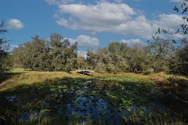 1880 NW Windy Pine Ave, Arcadia, FL 34266 - photo 9